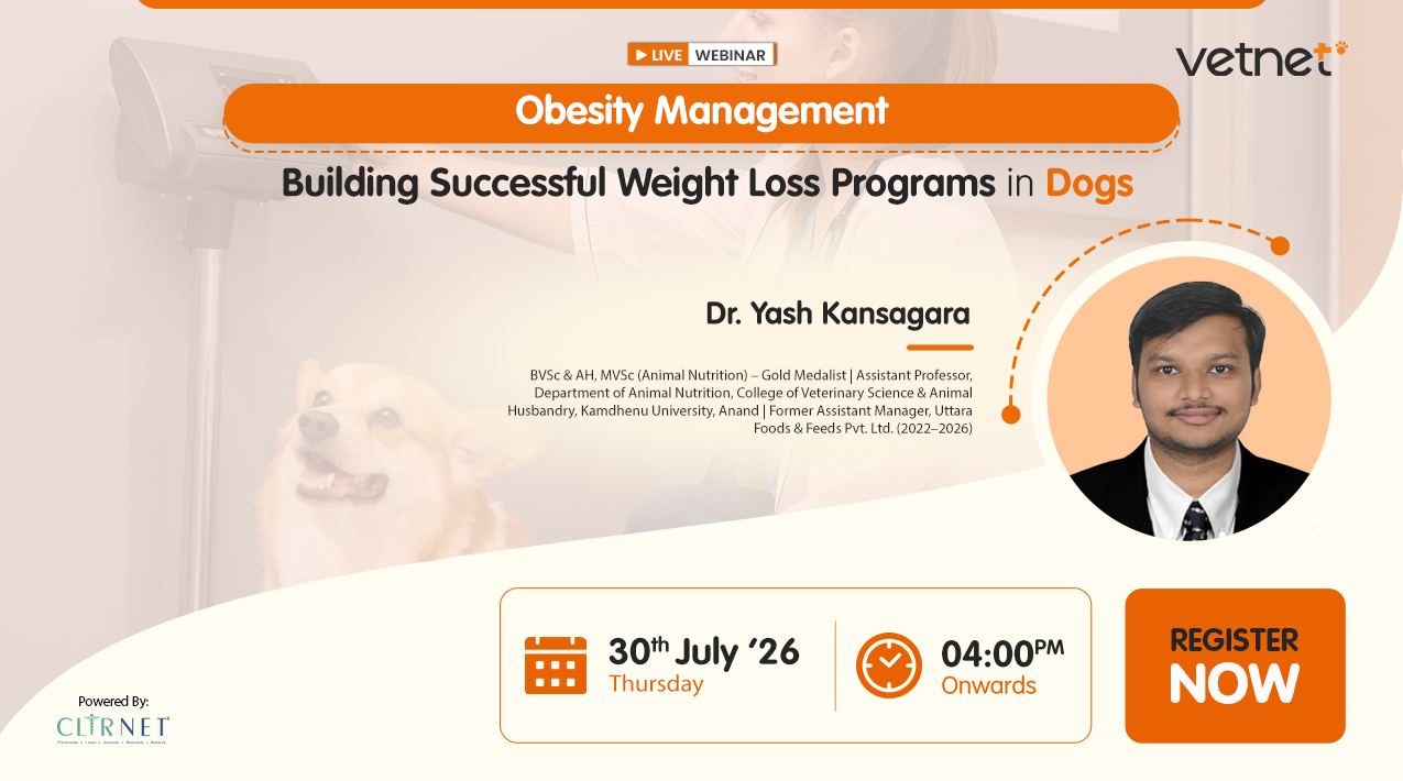 Obesity Management: Building Successful Weight Loss Programs in Dogs